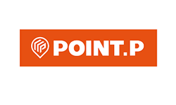  Point P 