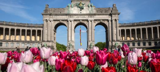 isolation phonique pour vivre au calme à Bruxelles